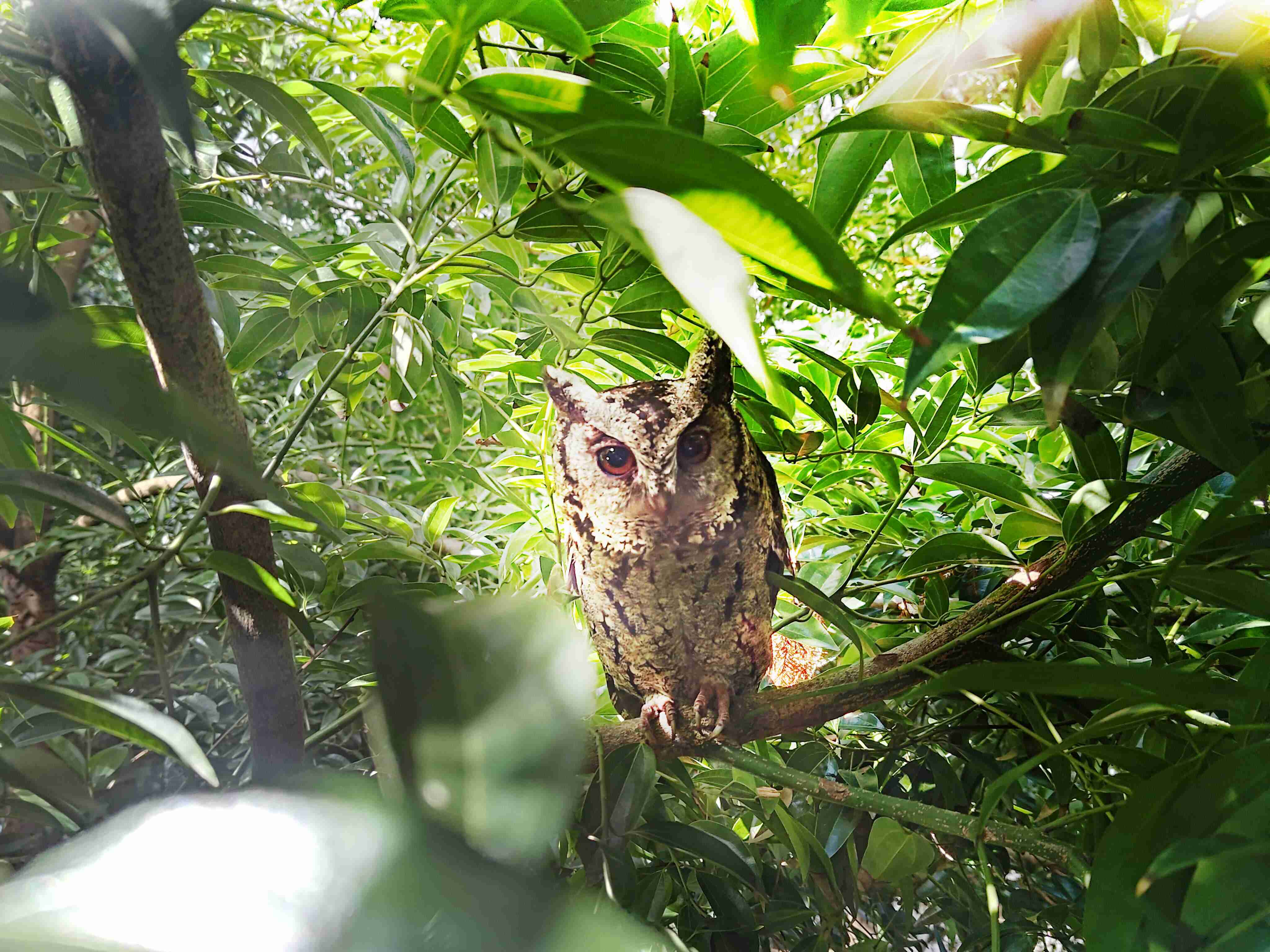 云顶国际8588yd致力提倡净零绿生活，，16年以来在全球各厂区植树逾百万棵，，，造就各厂区树木蔚然成林，，，犹如森林工厂，，，成为许多生物的栖息地